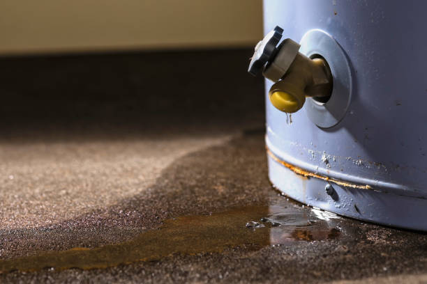 Best Water damage cleanup near me  in Cottonwood Heights, UT