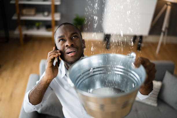 Best Residential water damage restoration  in Cottonwood Heights, UT