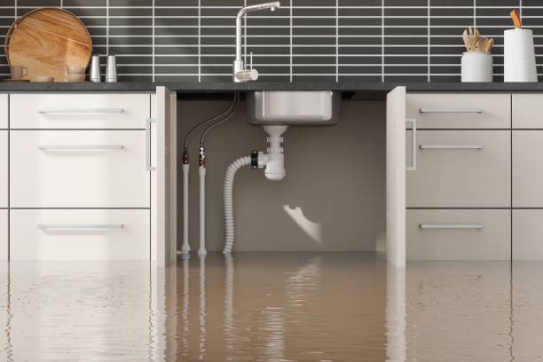, UT Water damage restoration Company