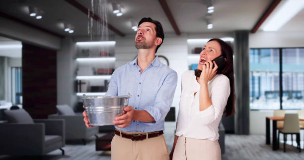 Best Carpet water damage restoration  in Cottonwood Heights, UT